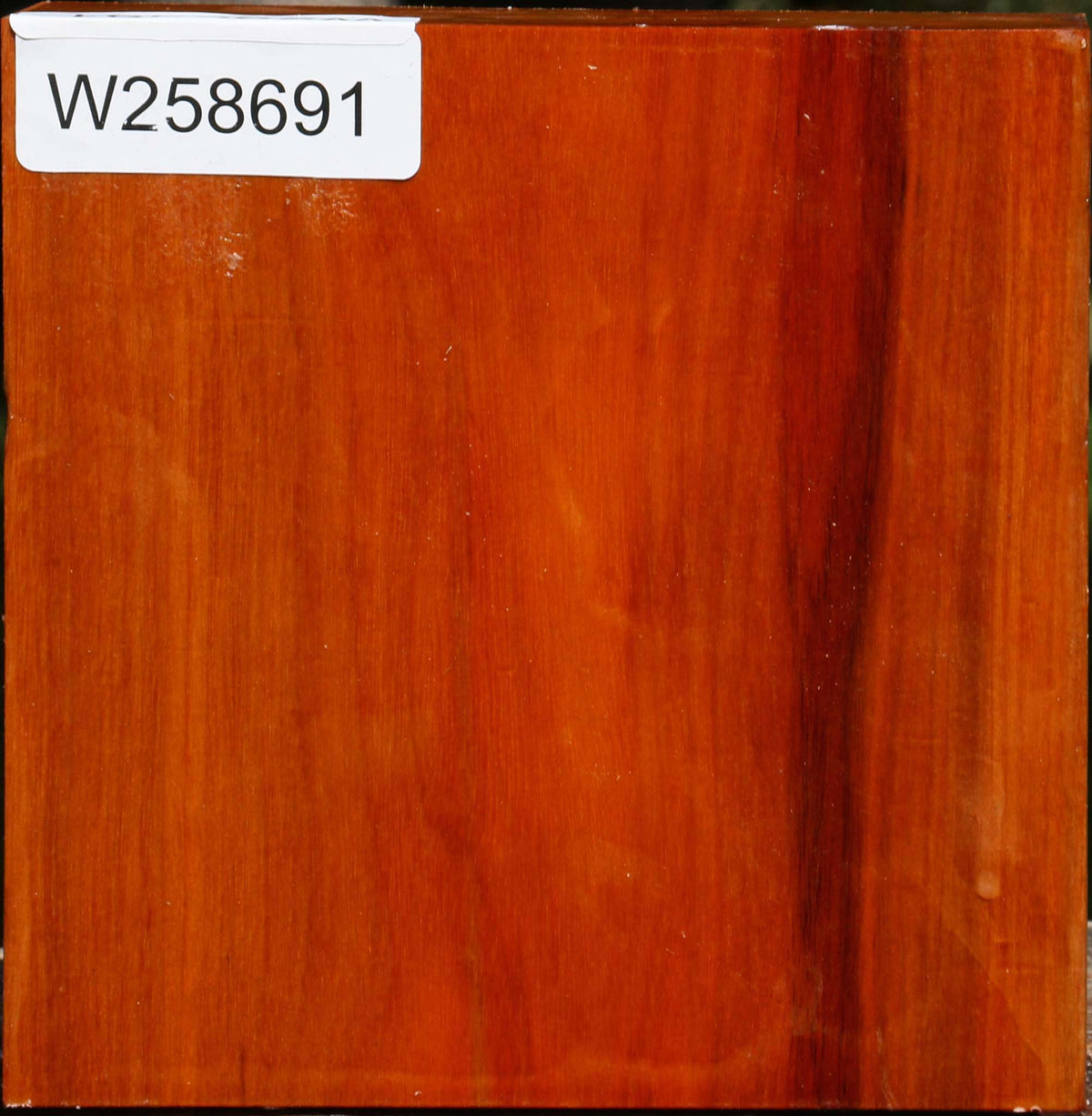 Pernambuco Bowl Blank