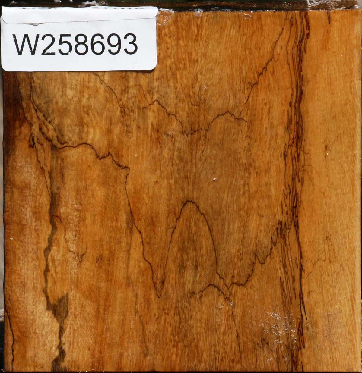 Spalted Tamarind Bowl Blank