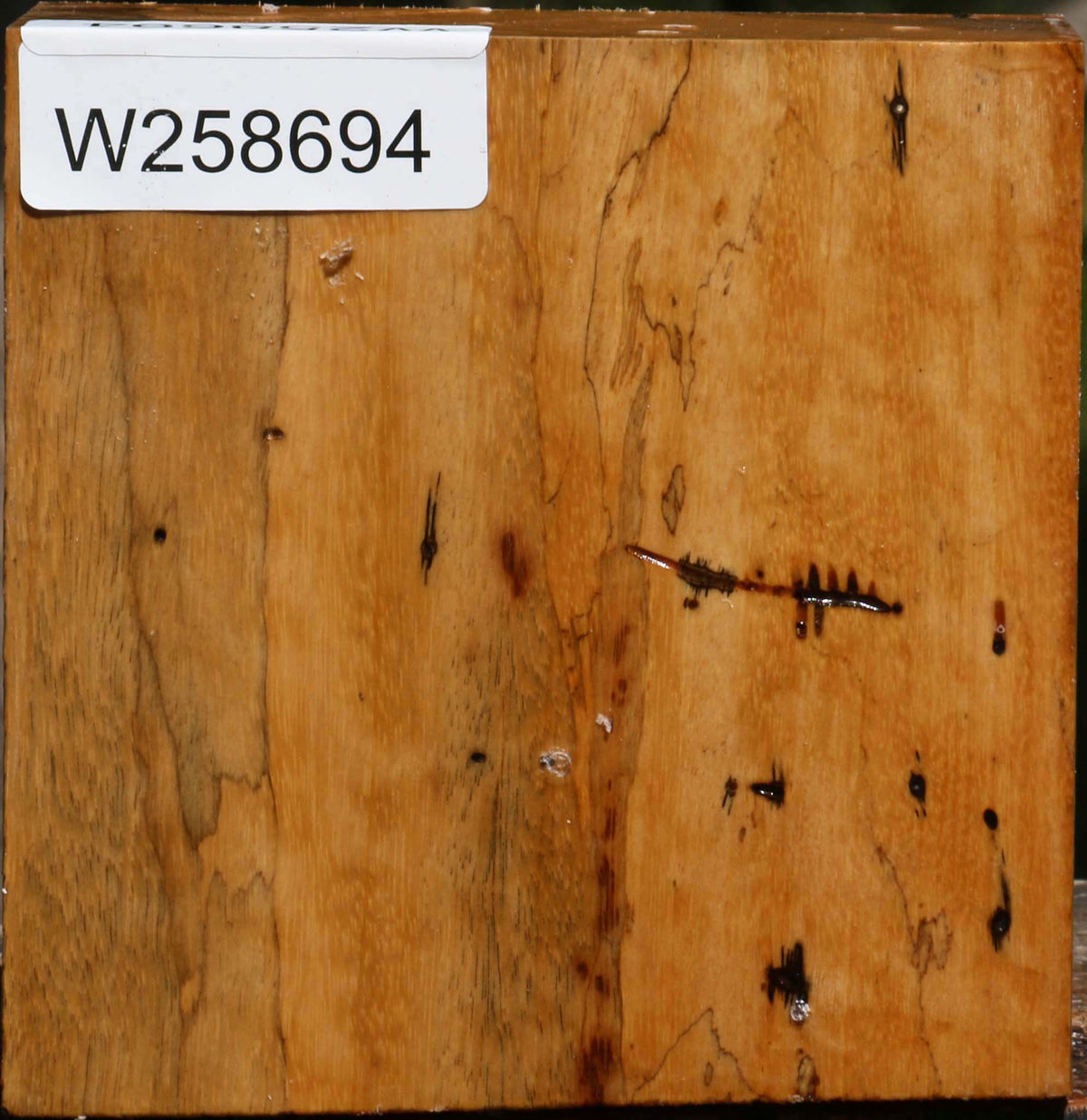 Spalted Tamarind Bowl Blank