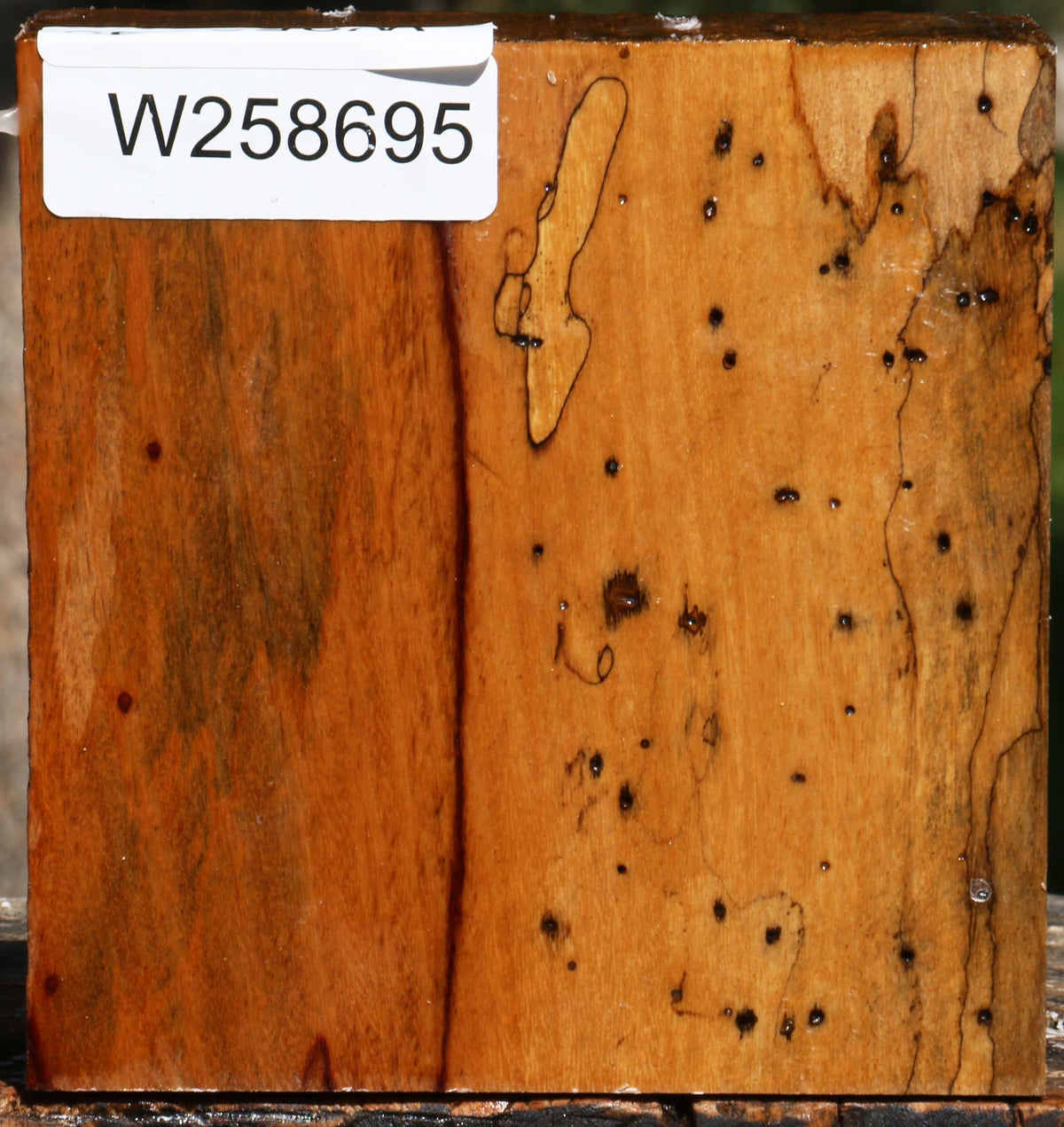 Spalted Tamarind Bowl Blank