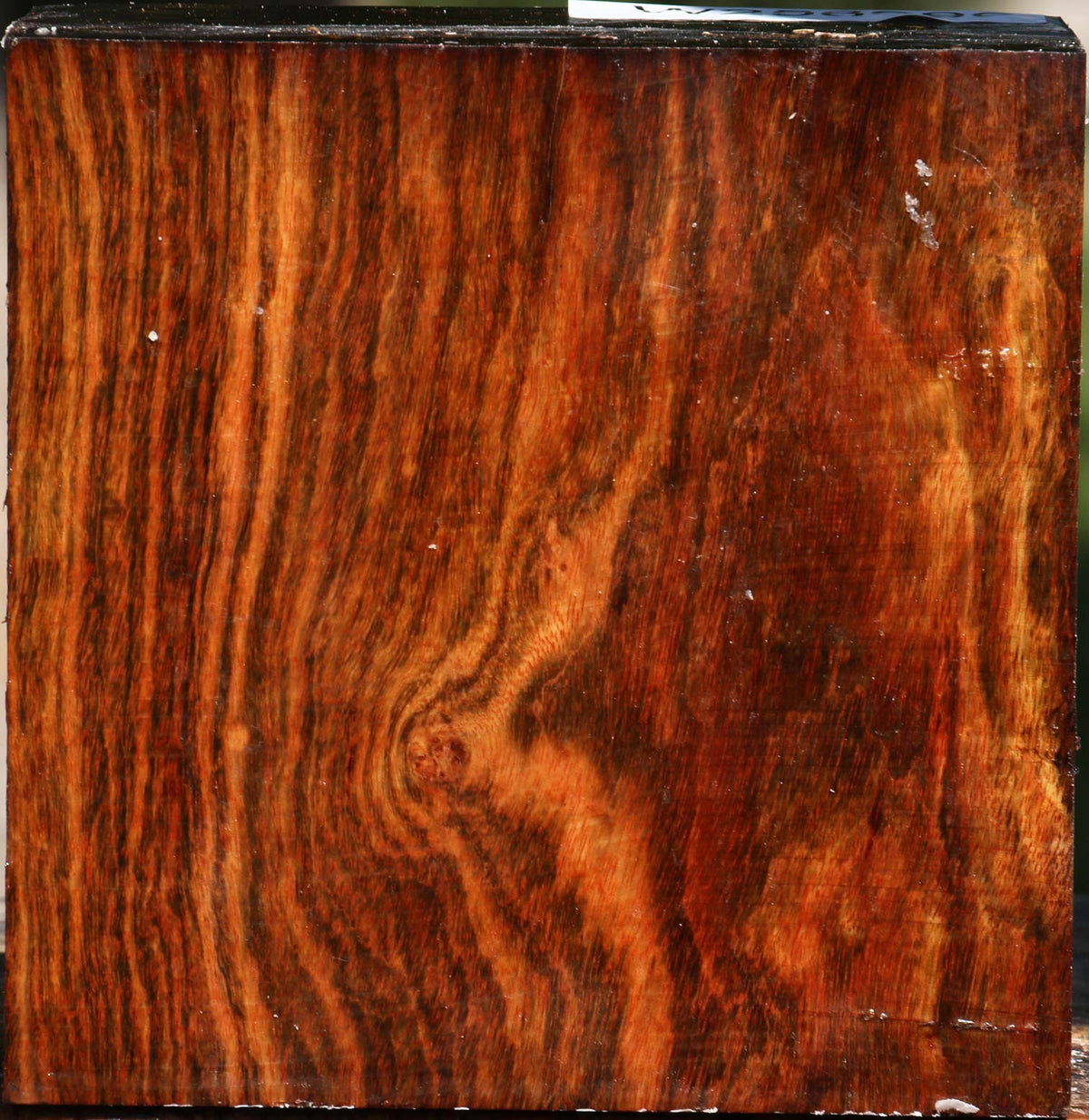 Chechen Bowl Blank