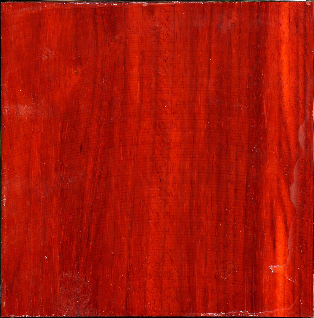 Padauk Bowl Blank