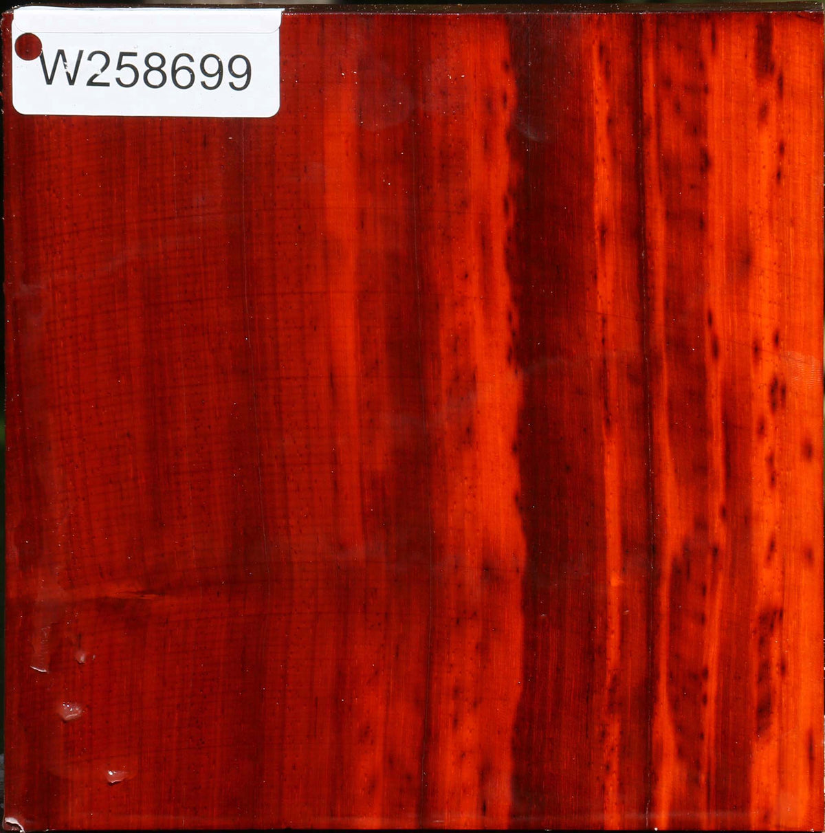 Padauk Bowl Blank