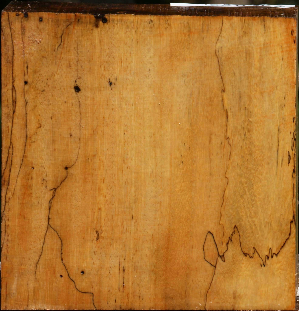 Spalted Tamarind Bowl Blank