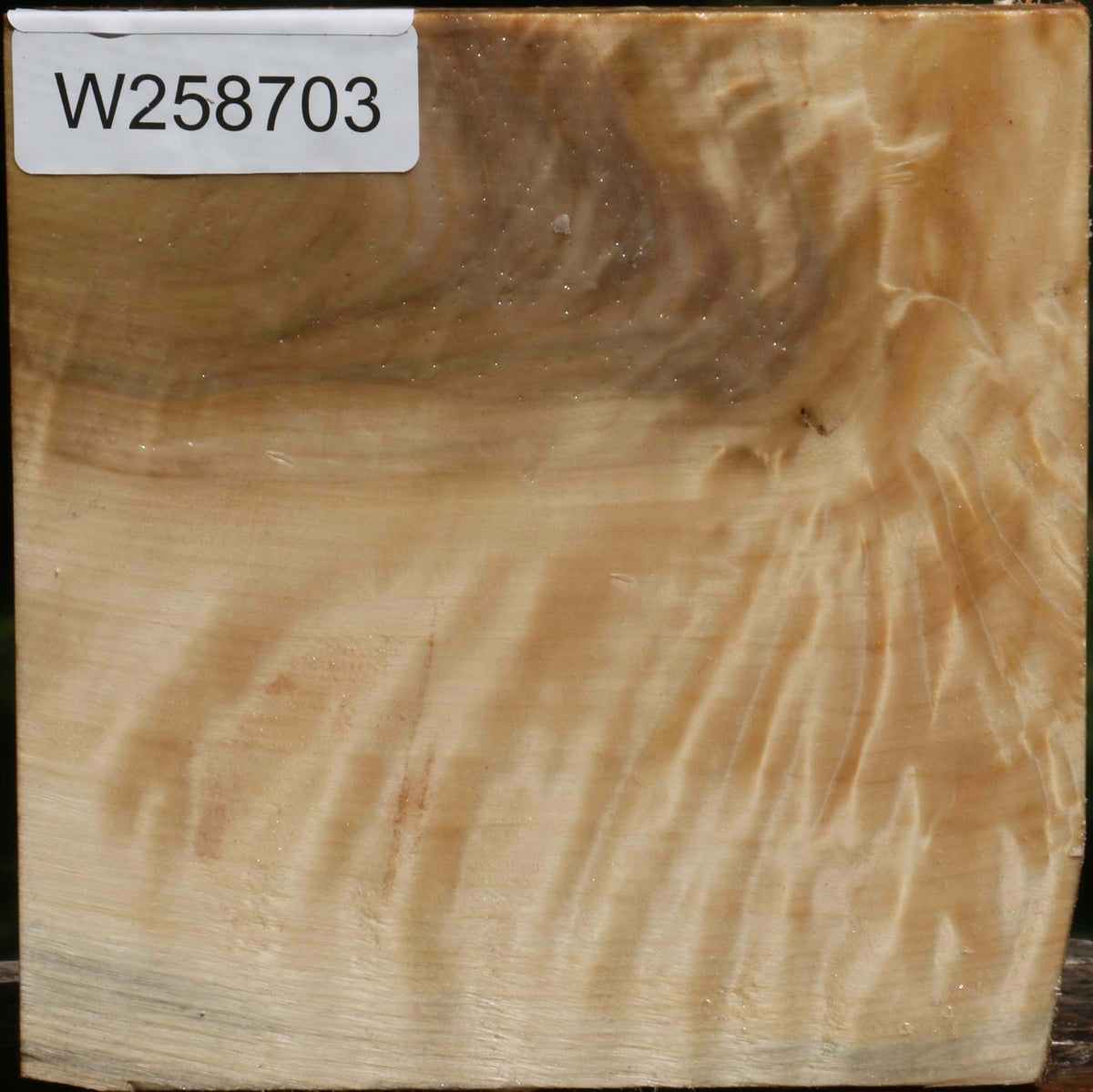 Extra Fancy Black Cottonwood Bowl Blank