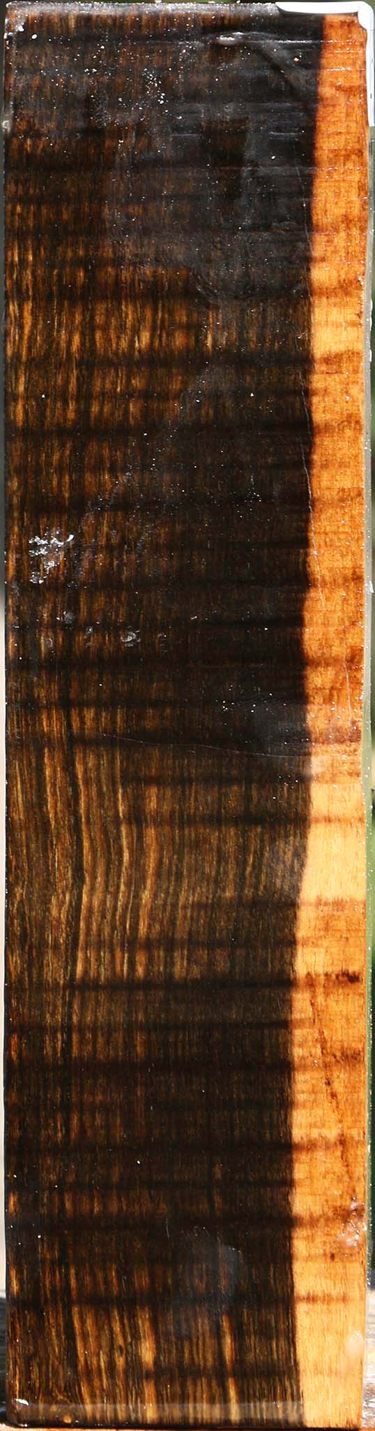 Bocote Peppermill