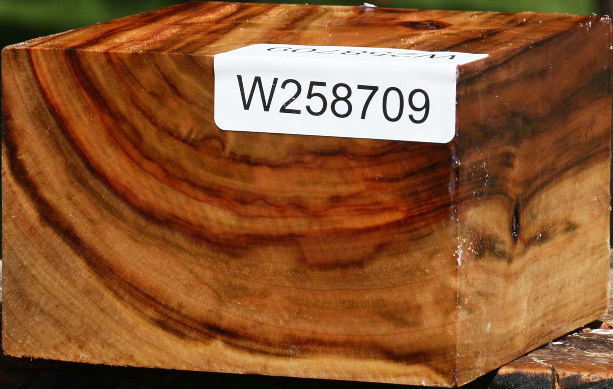 Figured Camphor Bowl Blank