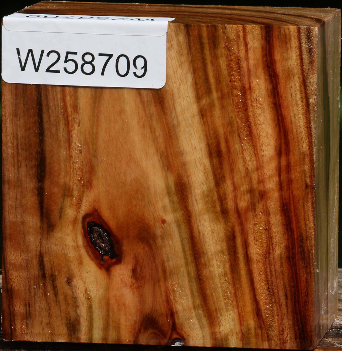 Figured Camphor Bowl Blank