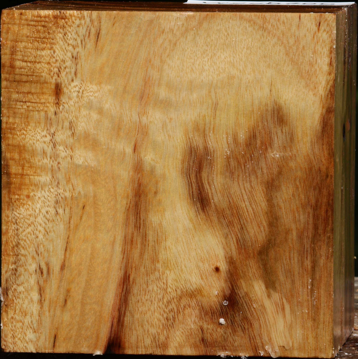 Figured Camphor Bowl Blank