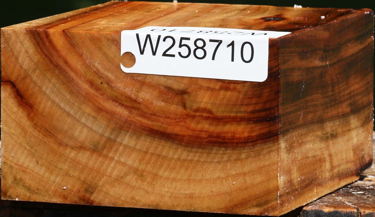 Figured Camphor Bowl Blank