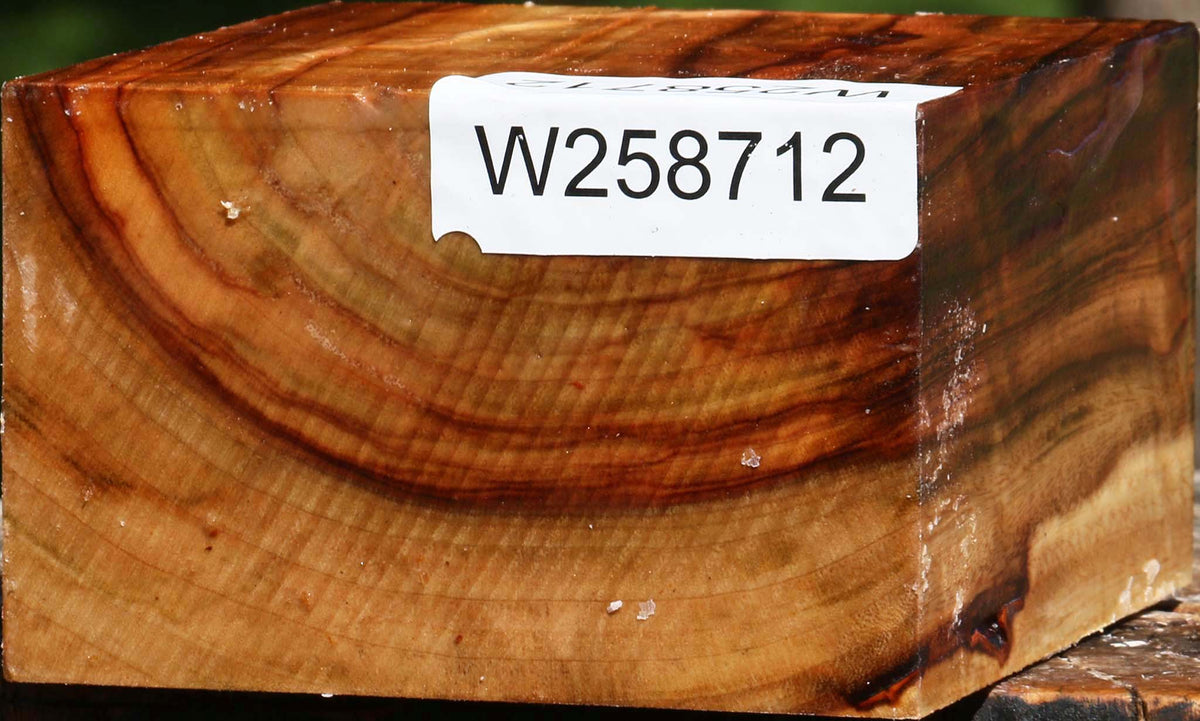 Figured Camphor Bowl Blank