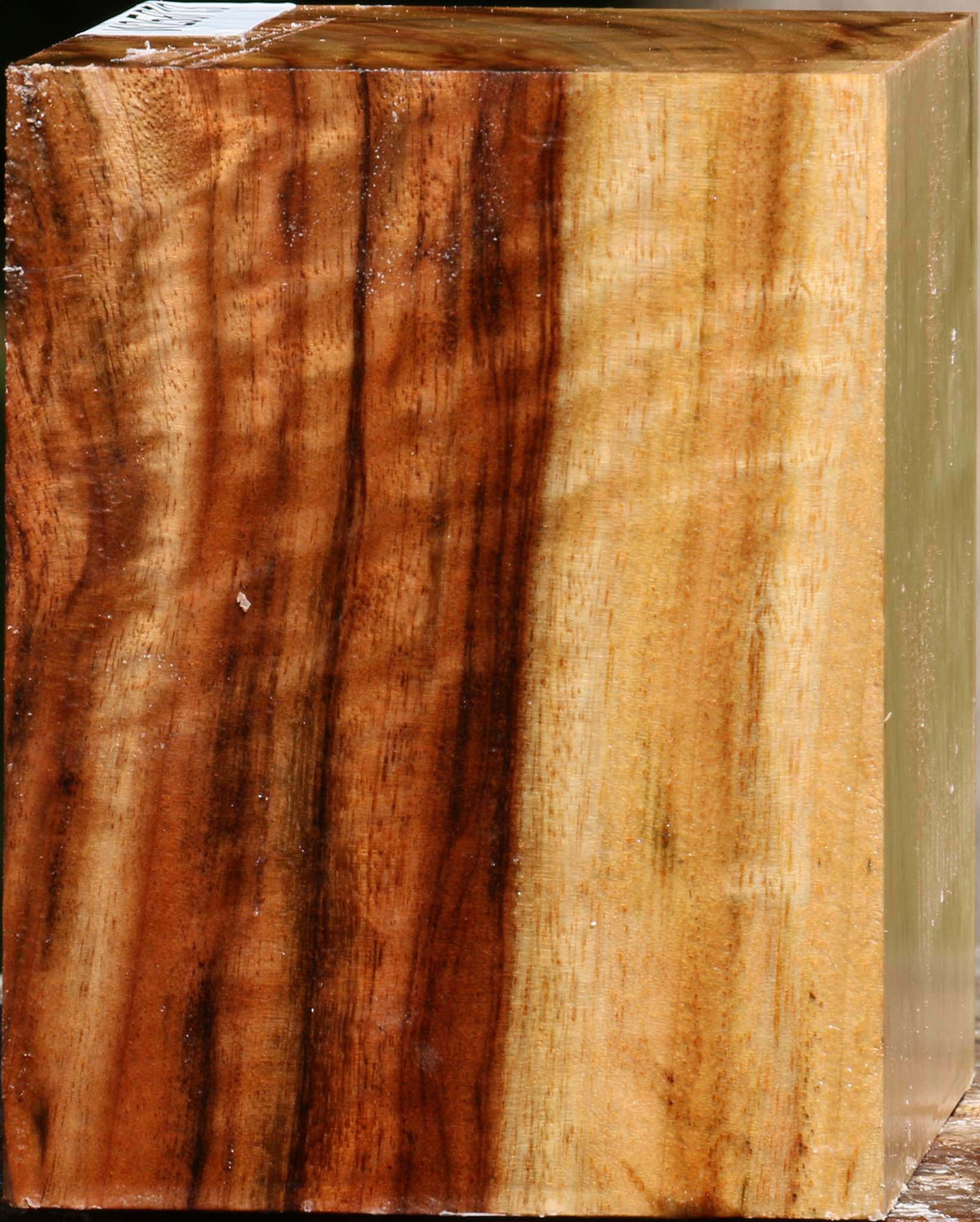 Figured Camphor Bowl Blank