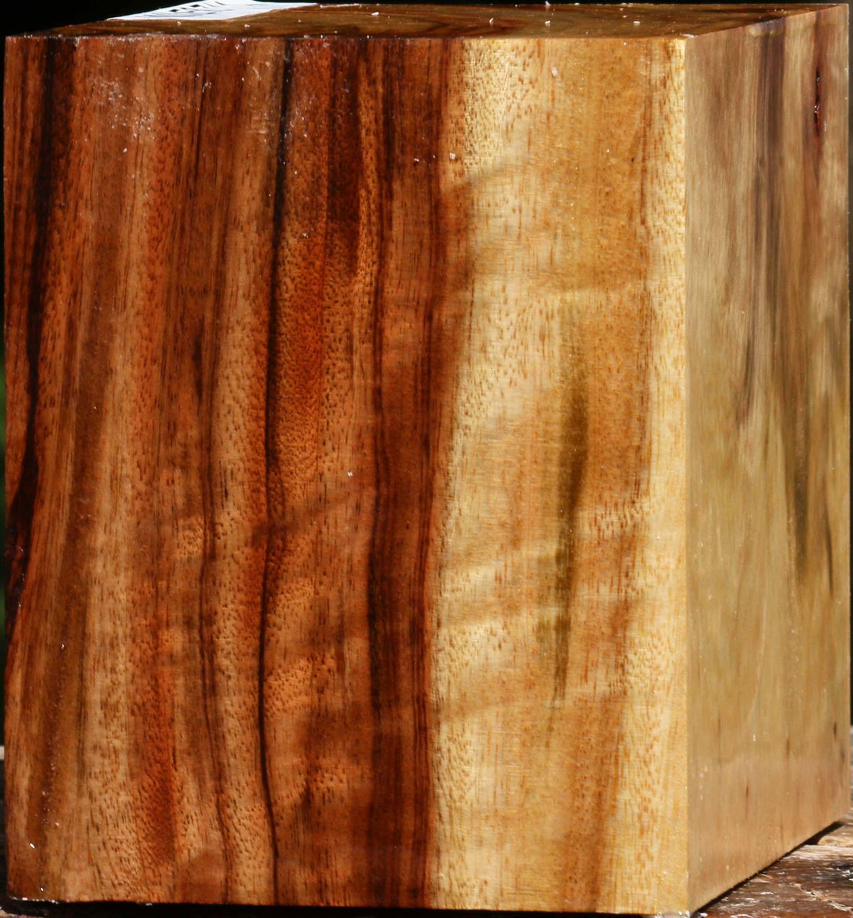 Camphor Bowl Blank