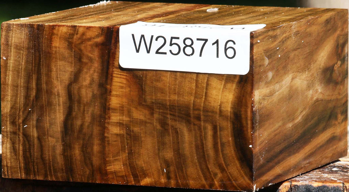 Figured Quartersawn Pistachio Bowl Blank