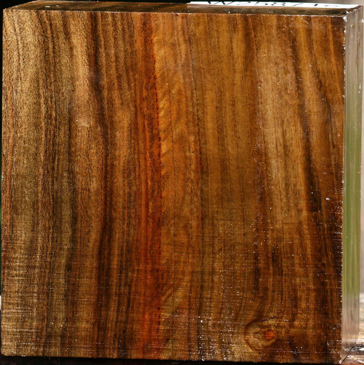 Figured Quartersawn Pistachio Bowl Blank