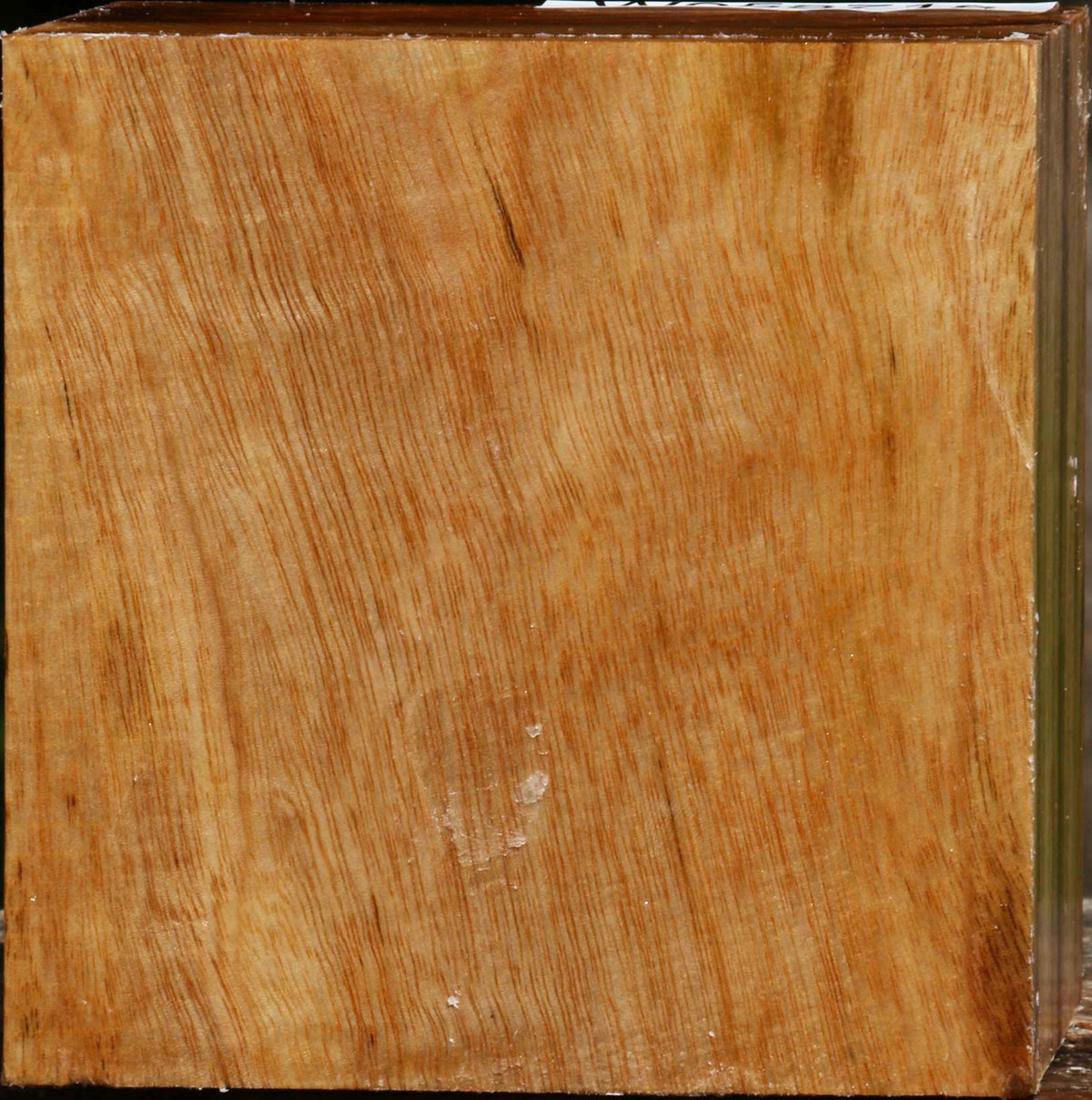 Figured Camphor Bowl Blank