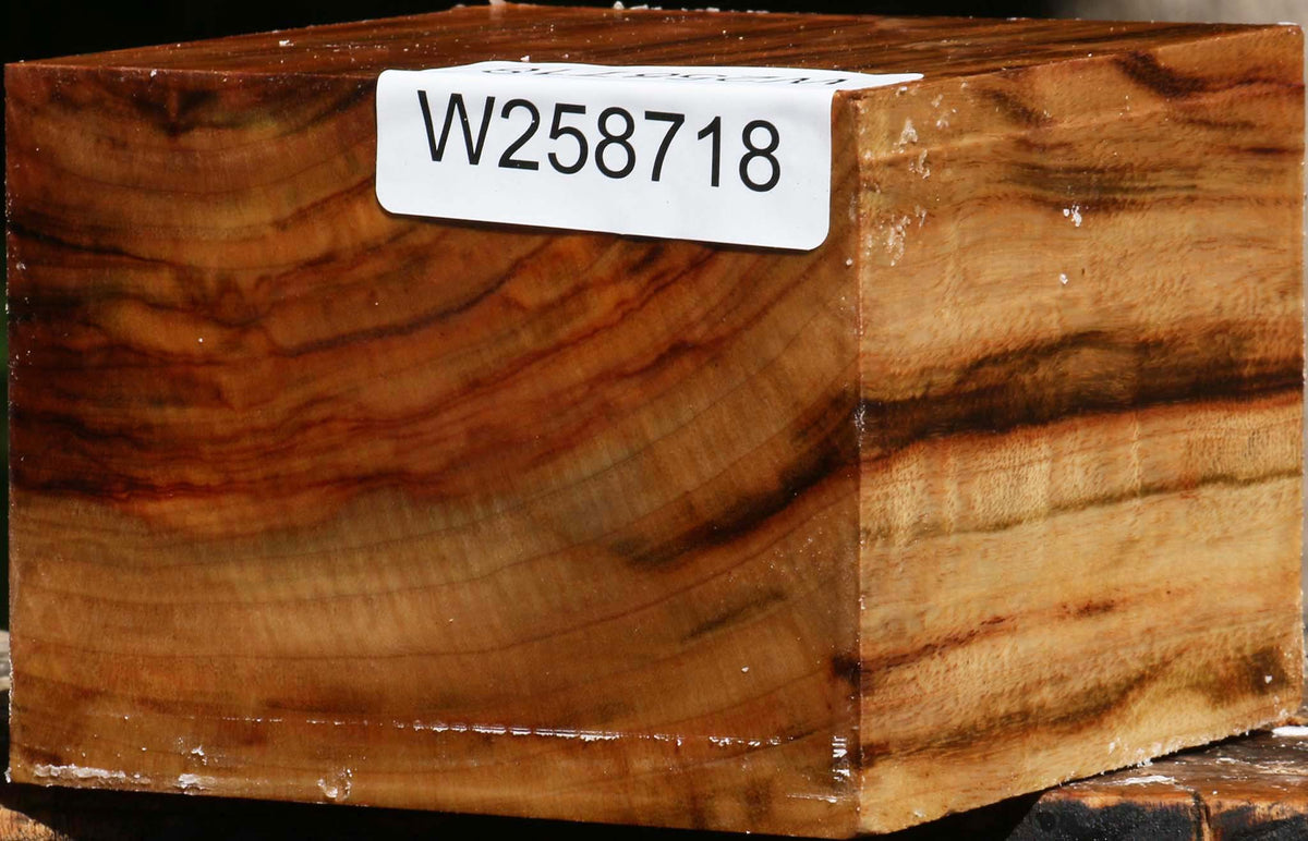 Figured Camphor Bowl Blank