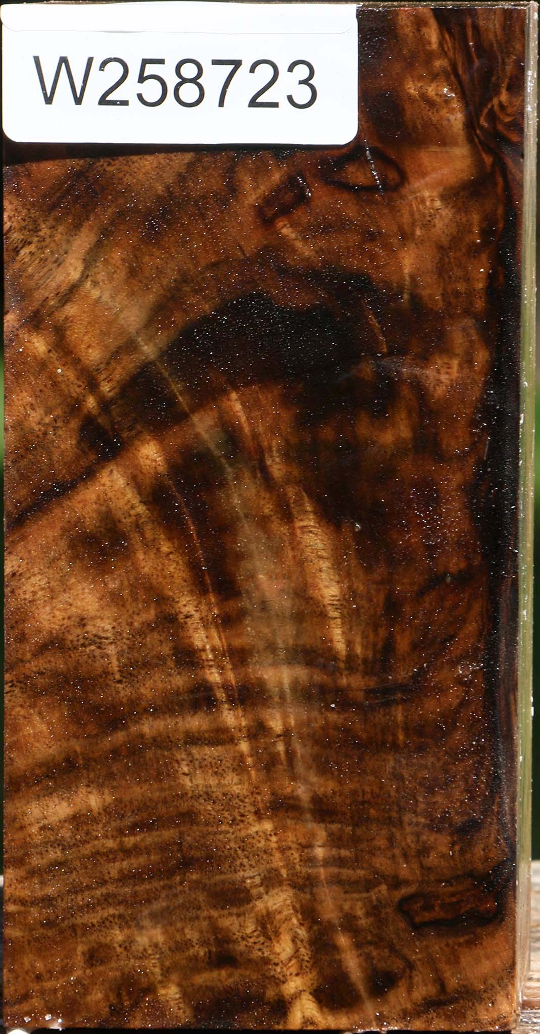 Extra Fancy Claro Walnut Turning Square