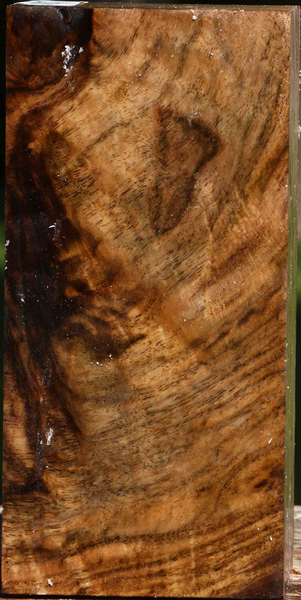Extra Fancy Claro Walnut Turning Square