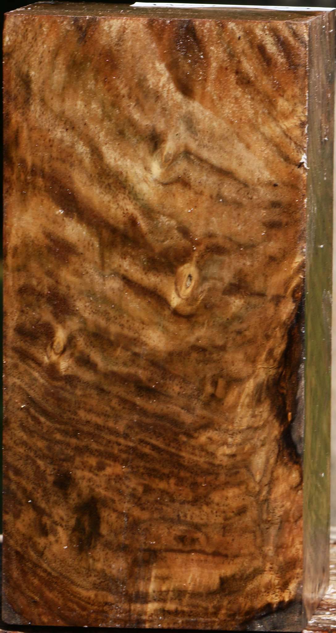 Extra Fancy Claro Walnut Turning Square