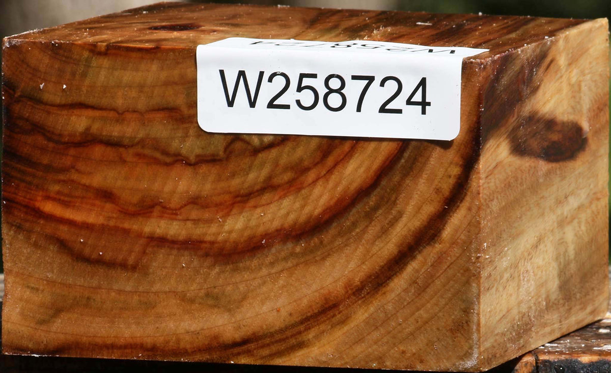 Camphor Bowl Blank