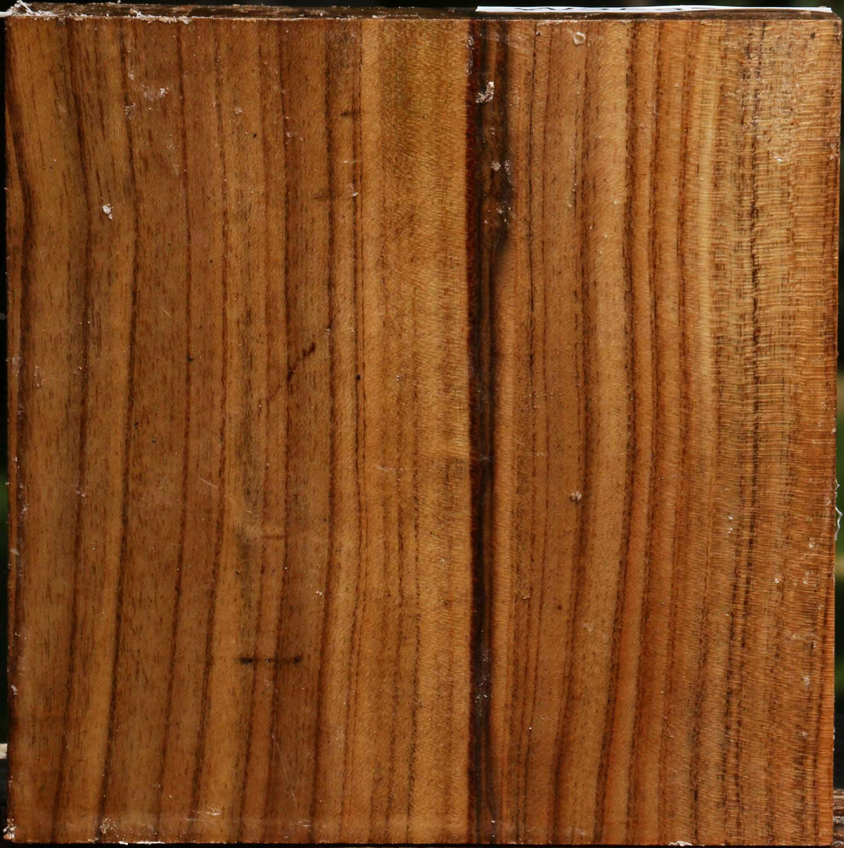 Quartersawn Pistachio Bowl Blank