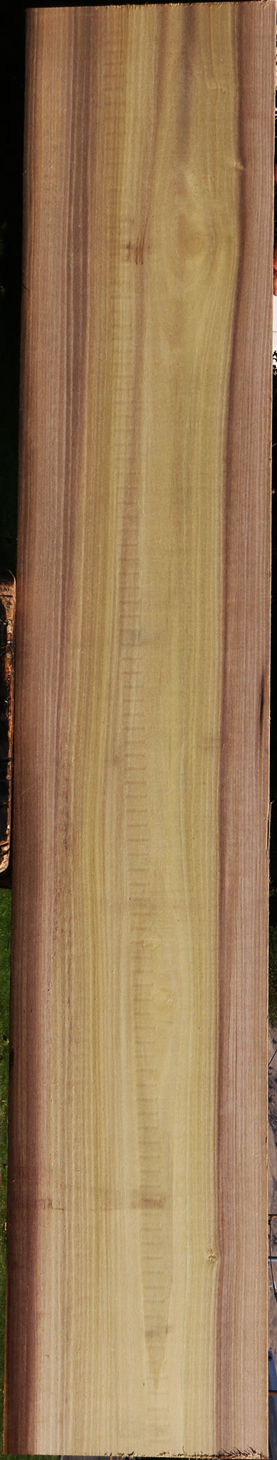 Purple Poplar Lumber