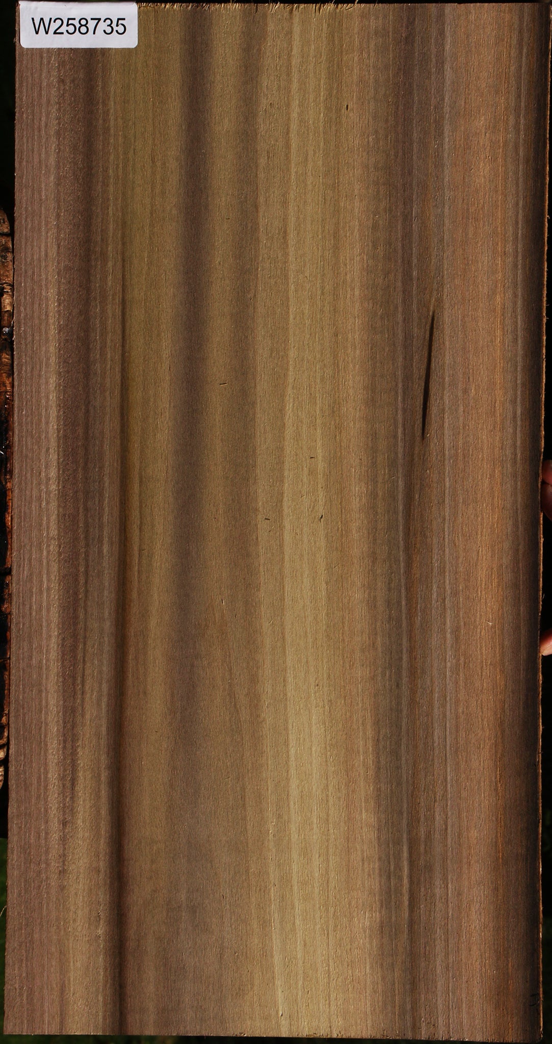 Figured Purple Poplar Lumber
