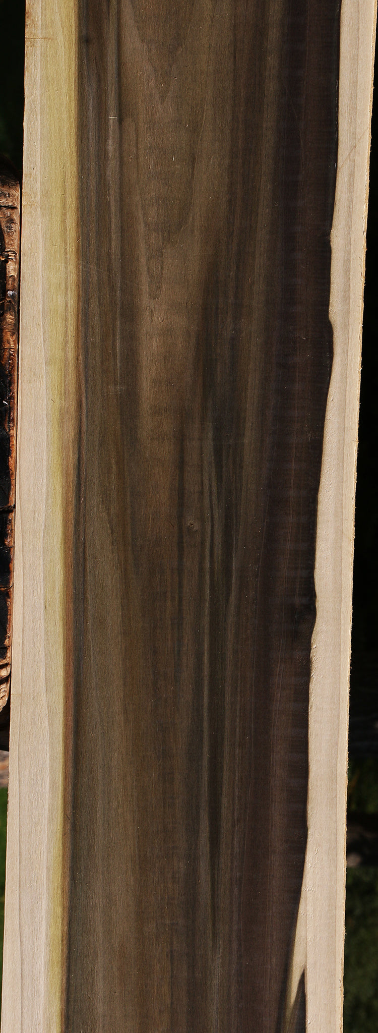 Extra Fancy Purple Poplar Lumber