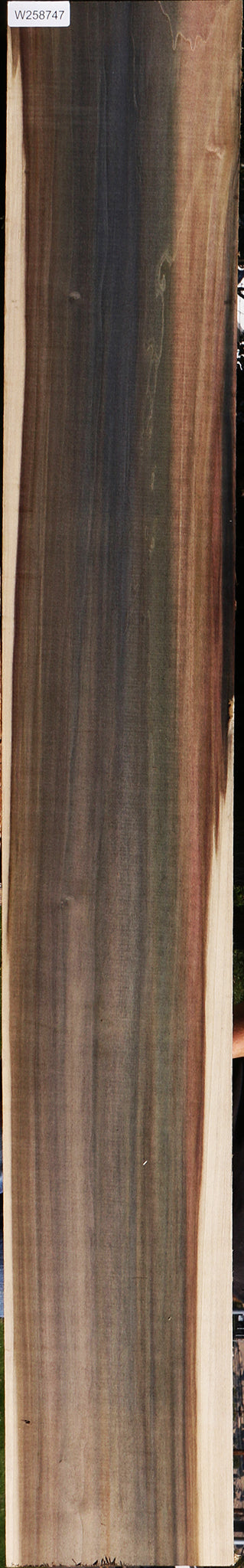 Extra Fancy Purple Poplar Lumber