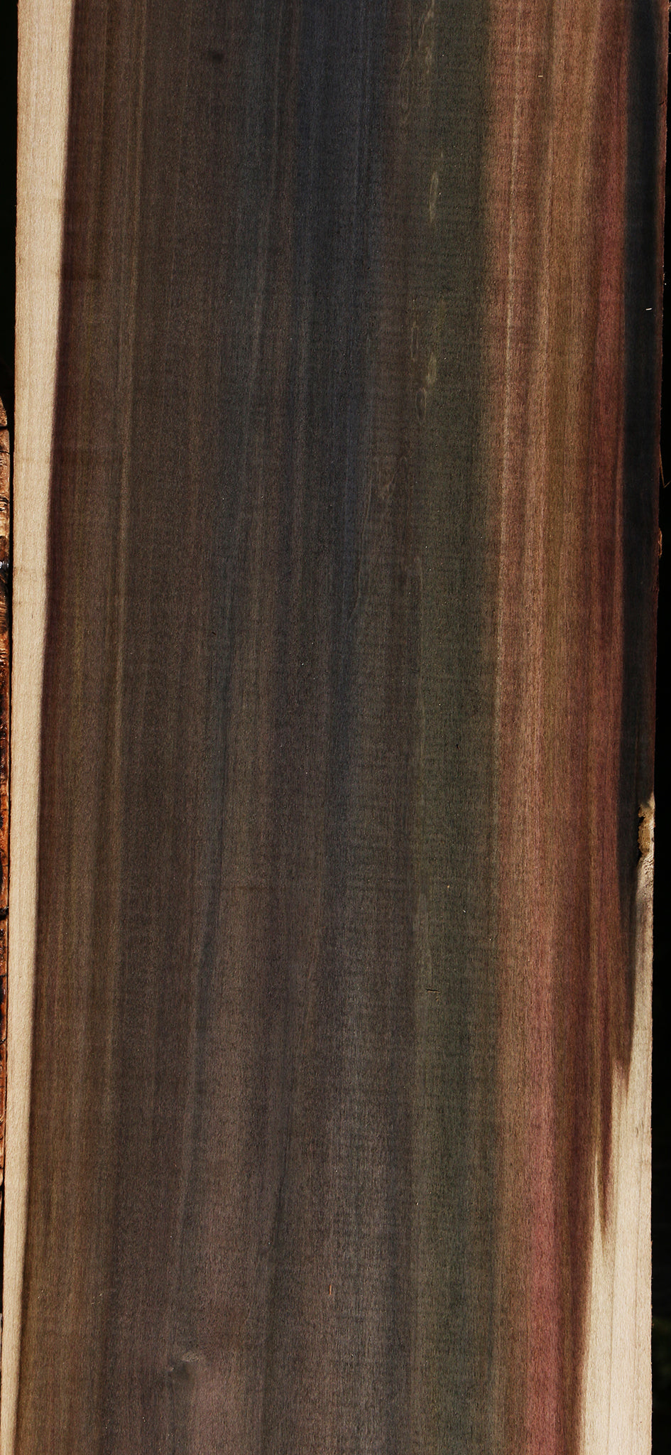 Extra Fancy Purple Poplar Lumber