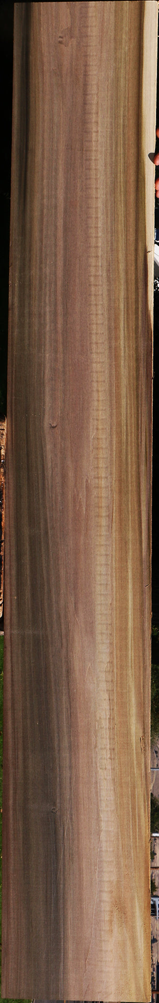 Extra Fancy Purple Poplar Lumber