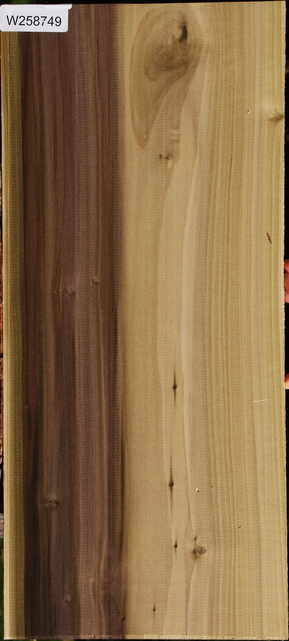 Figured Purple Poplar Lumber