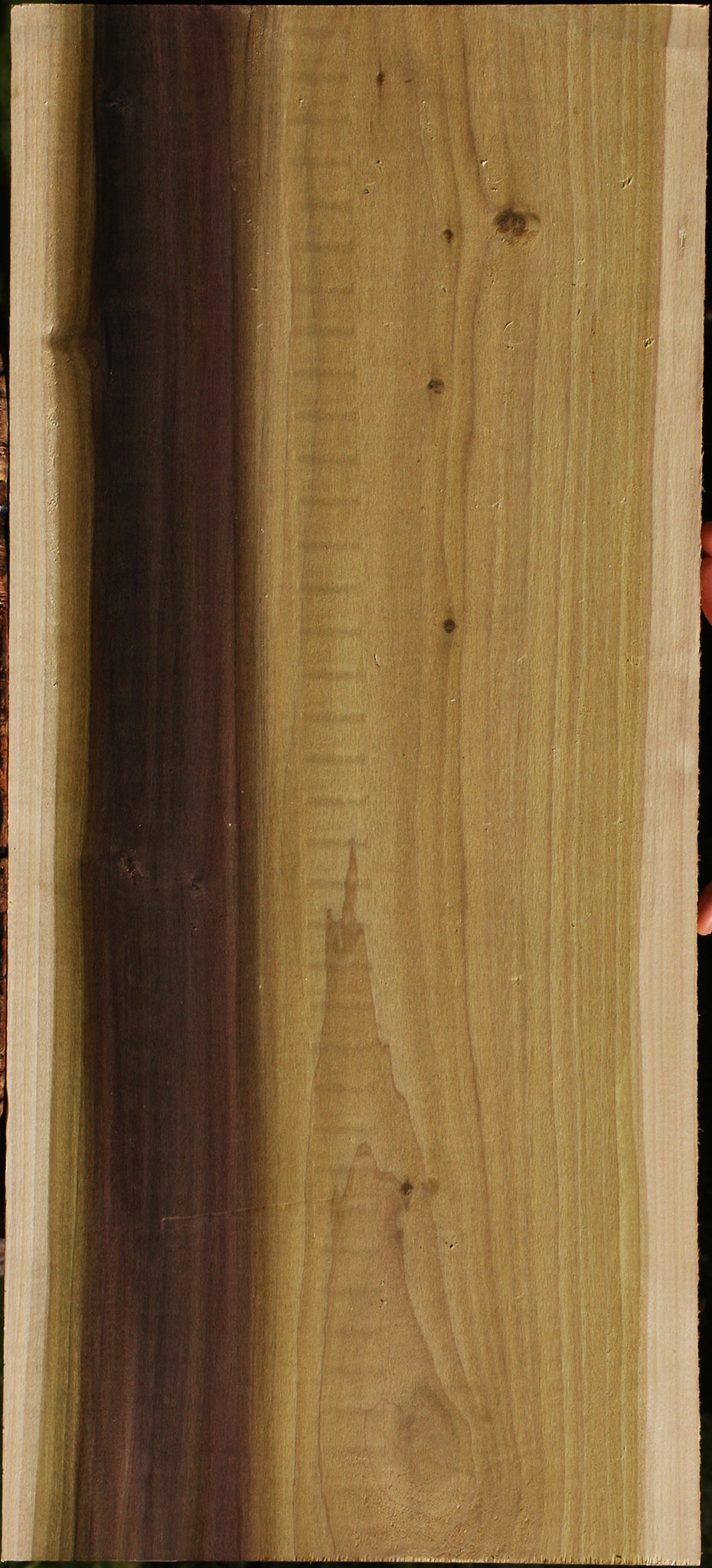 Figured Purple Poplar Lumber