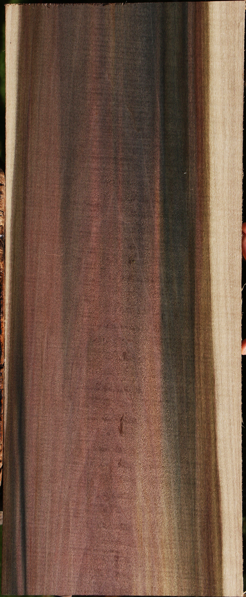 Figured Purple Poplar Lumber