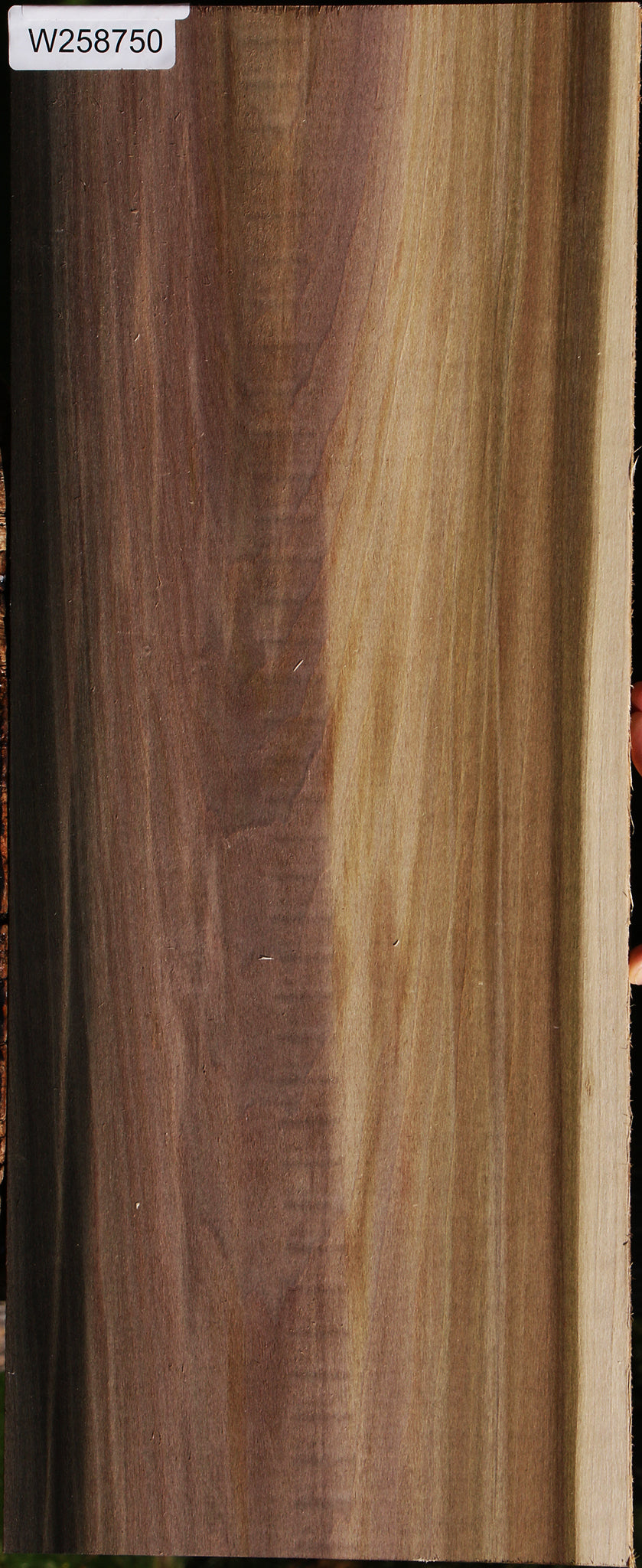 Figured Purple Poplar Lumber