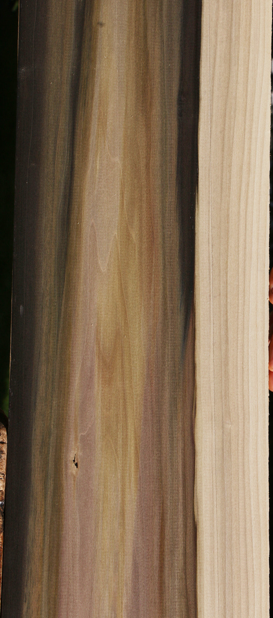 Figured Purple Poplar Lumber