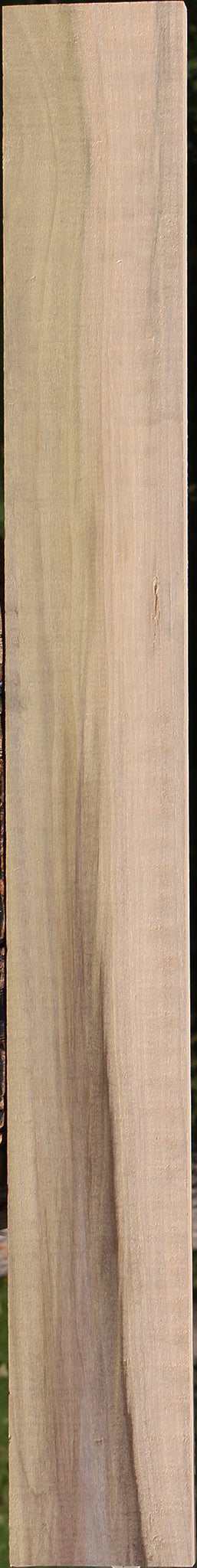 Purple Poplar Lumber