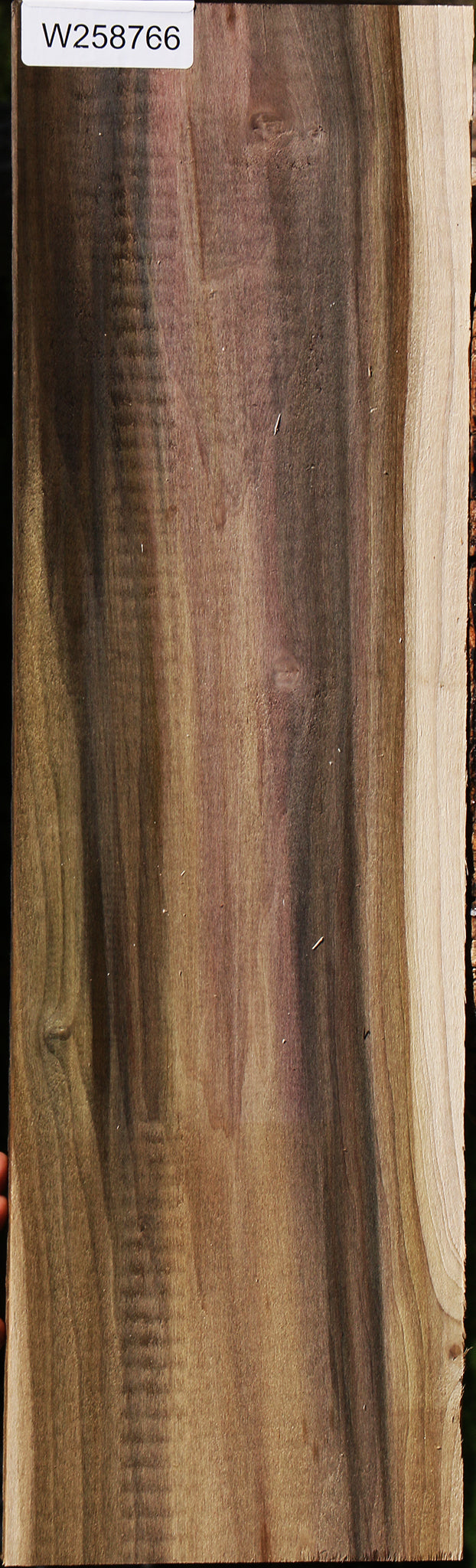 Figured Purple Poplar Lumber