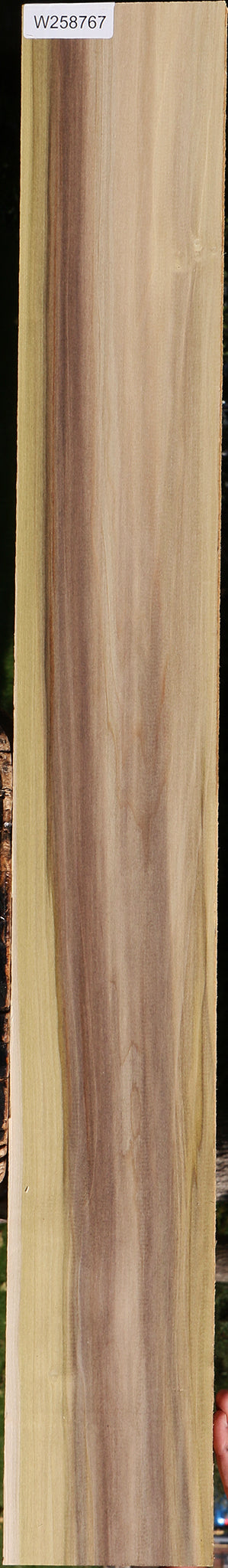 Purple Poplar Lumber