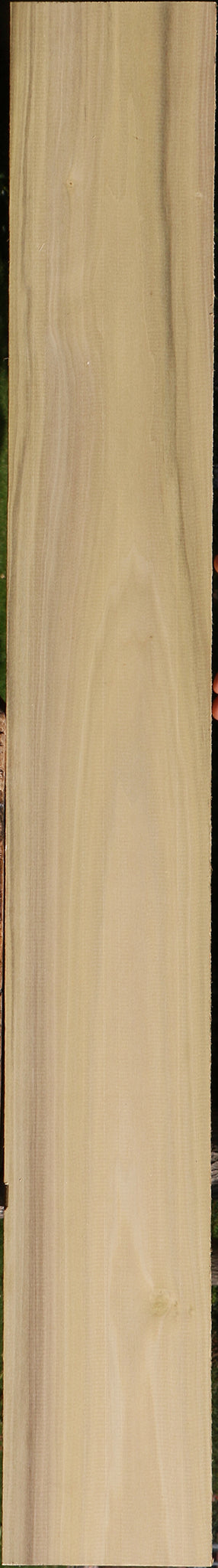 Purple Poplar Lumber