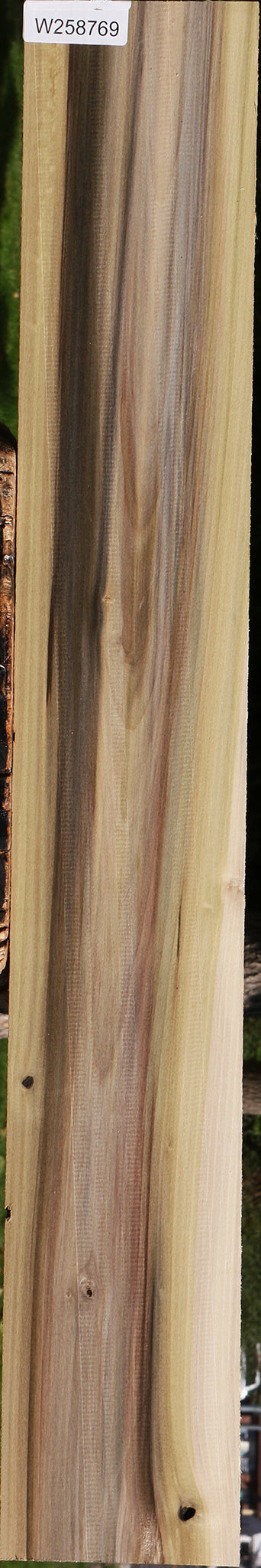 Purple Poplar Lumber
