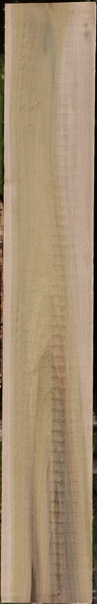 Purple Poplar Lumber