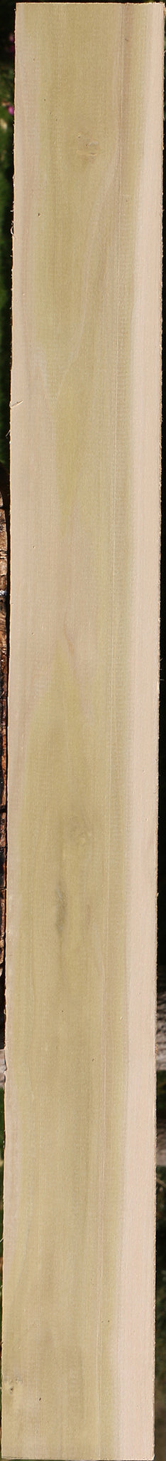 Purple Poplar Lumber