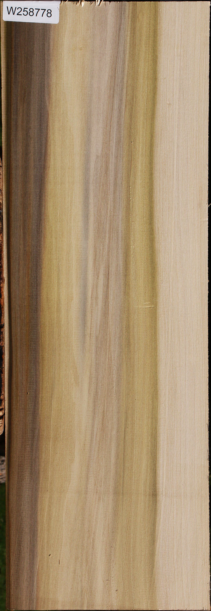 Purple Poplar Lumber