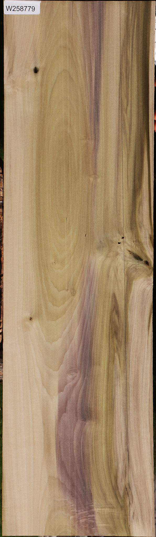 Purple Poplar Lumber