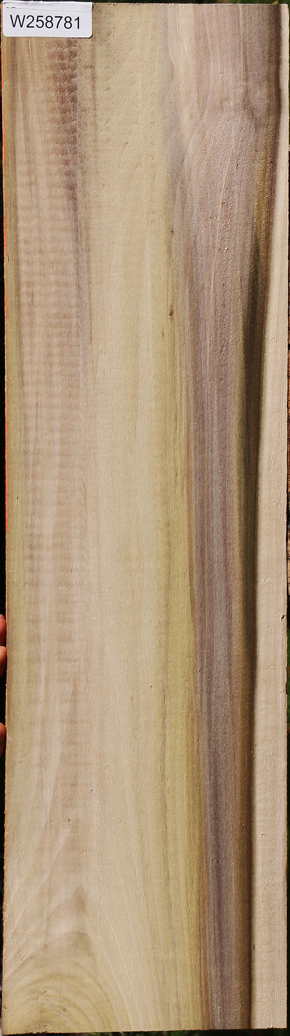 Purple Poplar Lumber