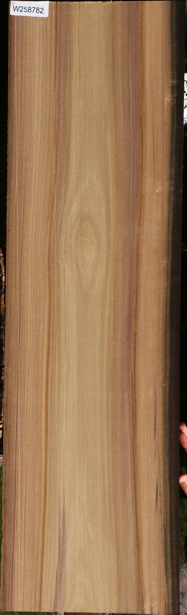 Purple Poplar Lumber