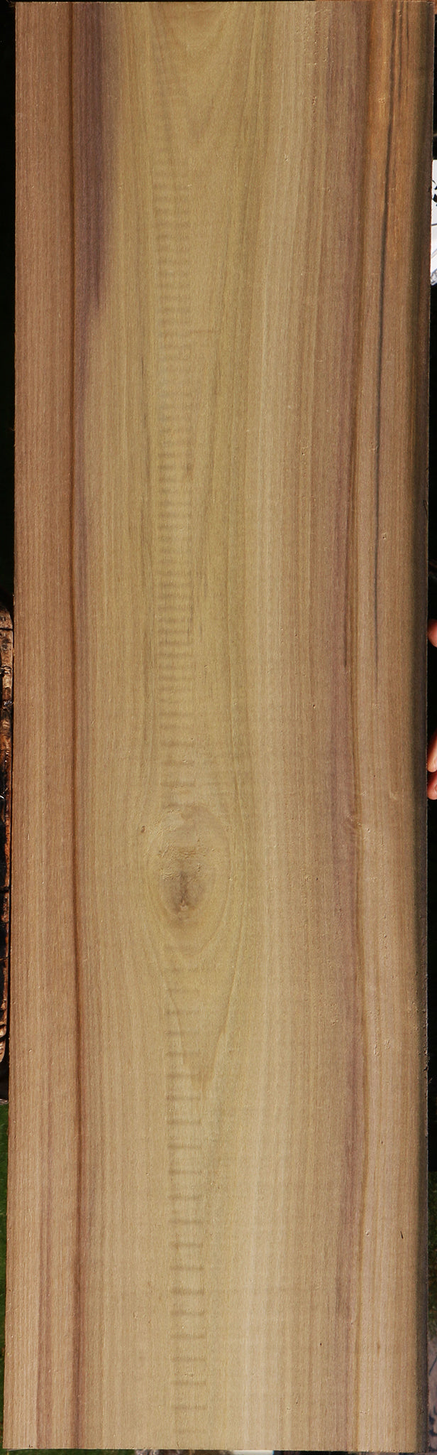 Purple Poplar Lumber