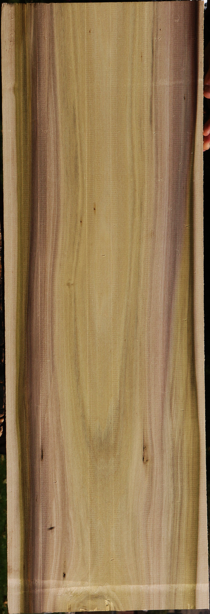 Purple Poplar Lumber